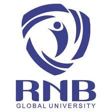 RNB Global University logo